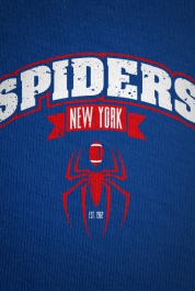 New York Spiders