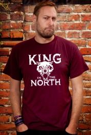 King In The North