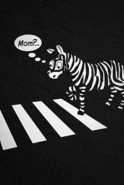 Zebra Crossing... (Mom?)