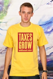 Taxes Grow Without Rain