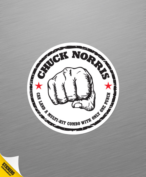 Chuck Norris Multi-Hit Combo, Accessories
