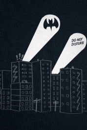Do Not Disturb The Bat
